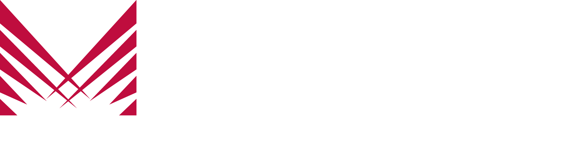 logo_madom-blanco